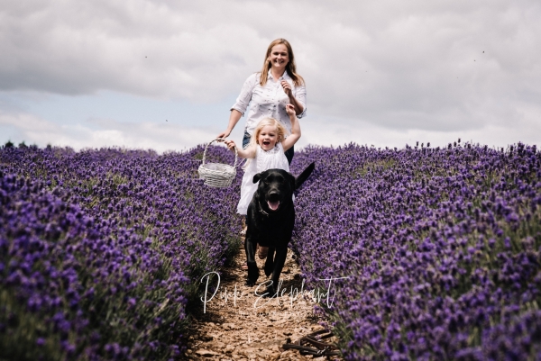 Wedding Photographer in Worcestershire