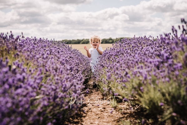 Wedding Photographer in Cheltenham